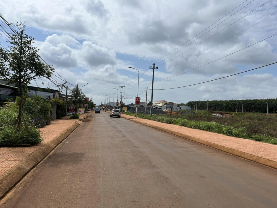 4029052 ảnh đại diện 2