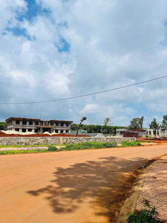 4029055 ảnh đại diện 2
