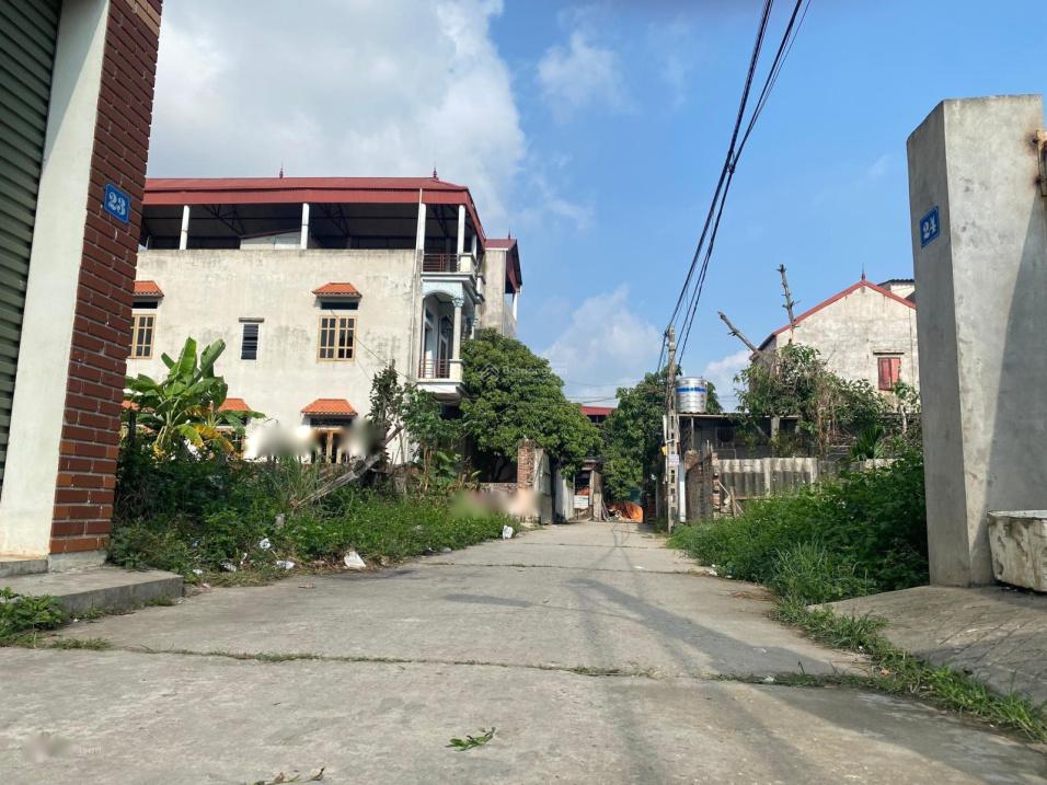 4027127 ảnh đại diện 1