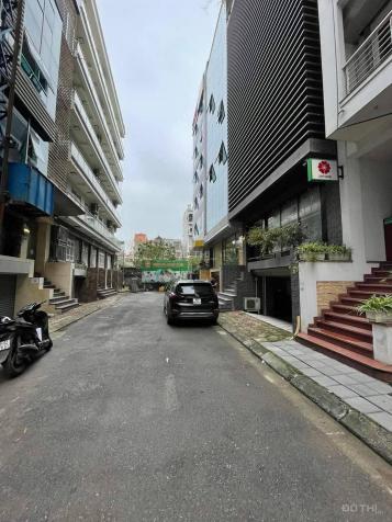 4027873 ảnh đại diện 1