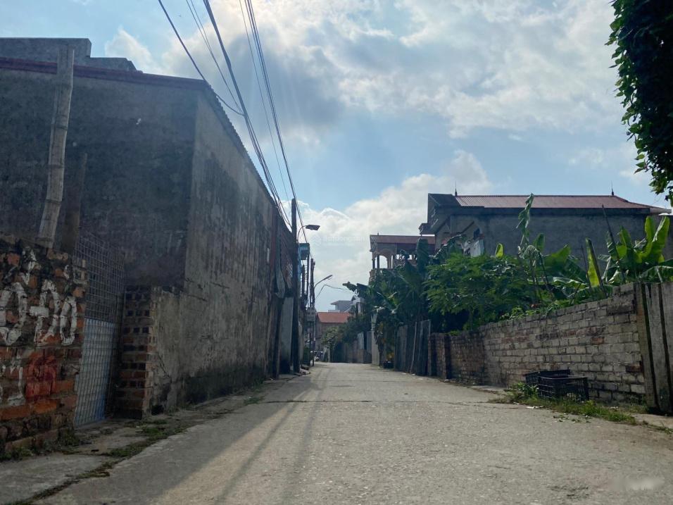 4027127 ảnh đại diện 1