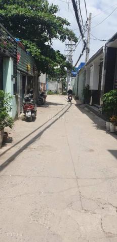 4028302 ảnh đại diện 2