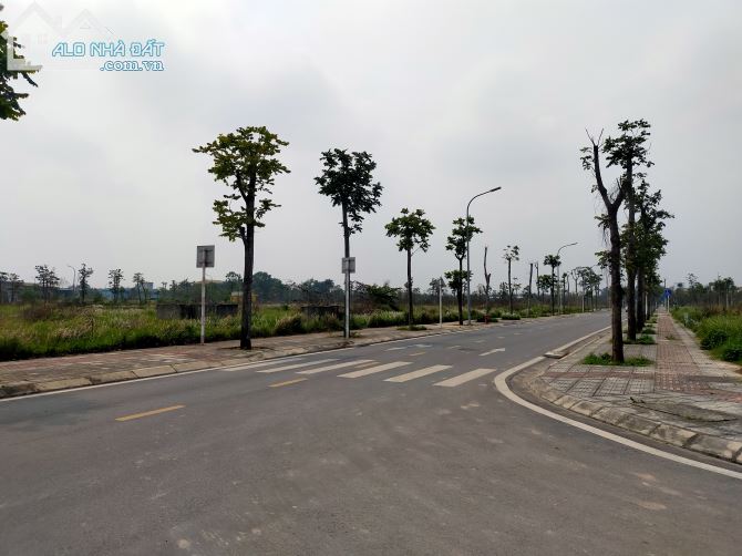 4027742 ảnh đại diện 1