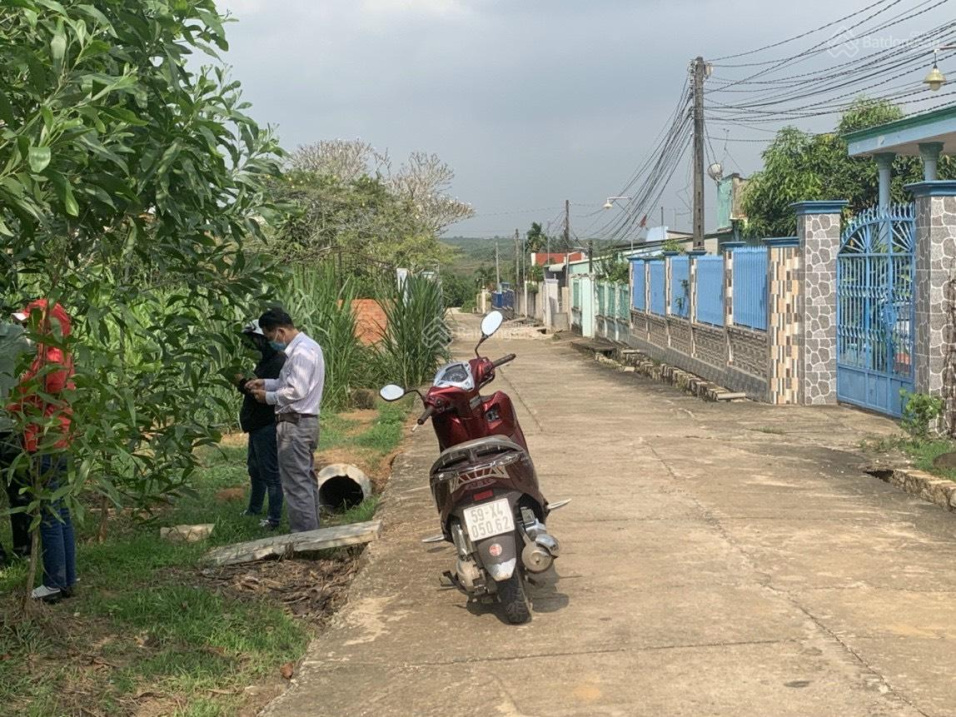 4028960 ảnh đại diện 2