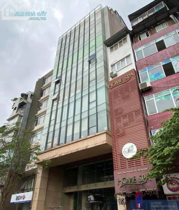 4027913 ảnh đại diện 1