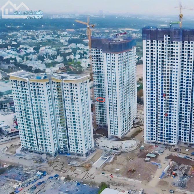 4027972 ảnh đại diện 1