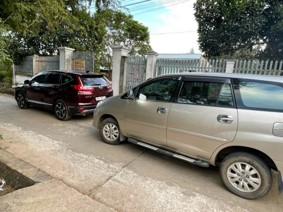 4028961 ảnh đại diện 1