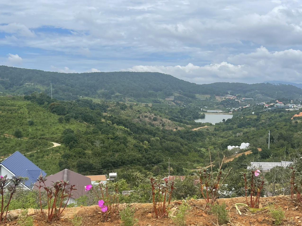 4028964 ảnh đại diện 1