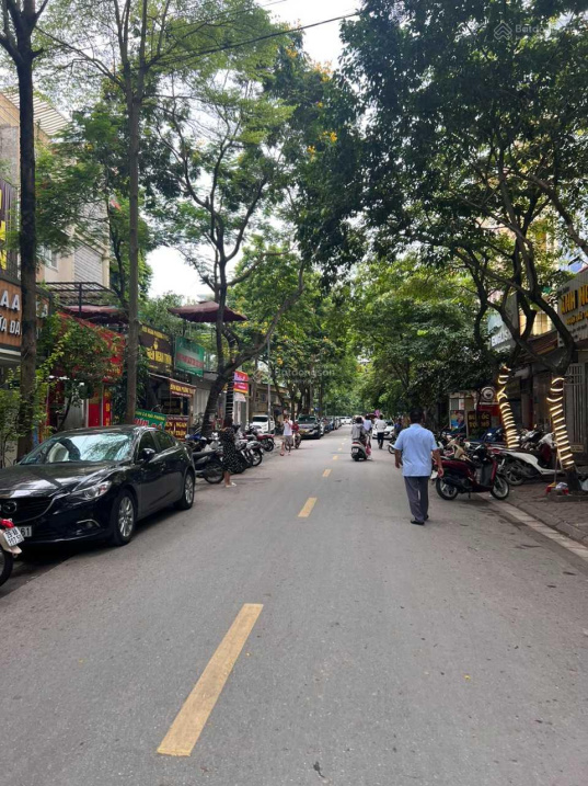 4031099 ảnh đại diện 1