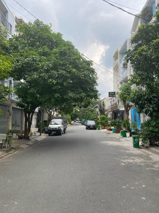 4032051 ảnh đại diện 1