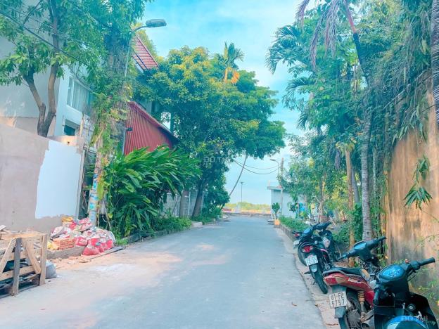 4029472 ảnh đại diện 2