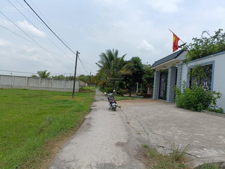 4031888 ảnh đại diện 2