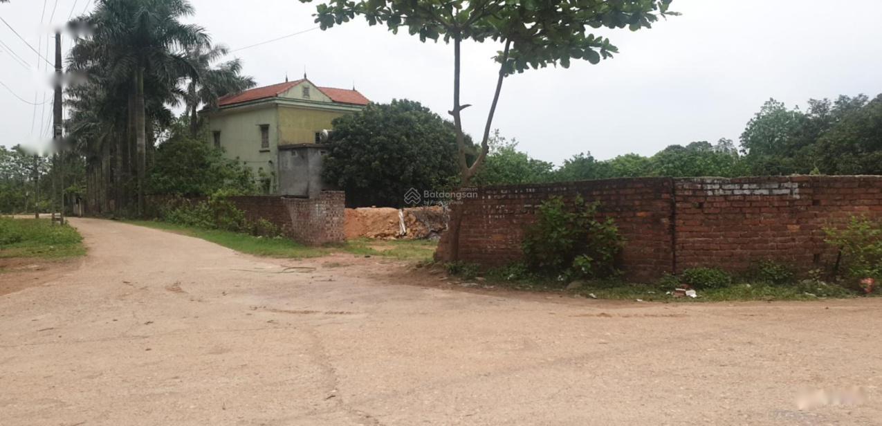 4029413 ảnh đại diện 1