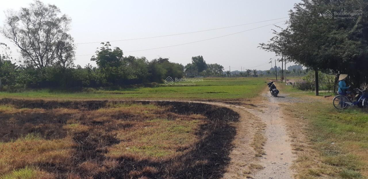 4031888 ảnh đại diện 1