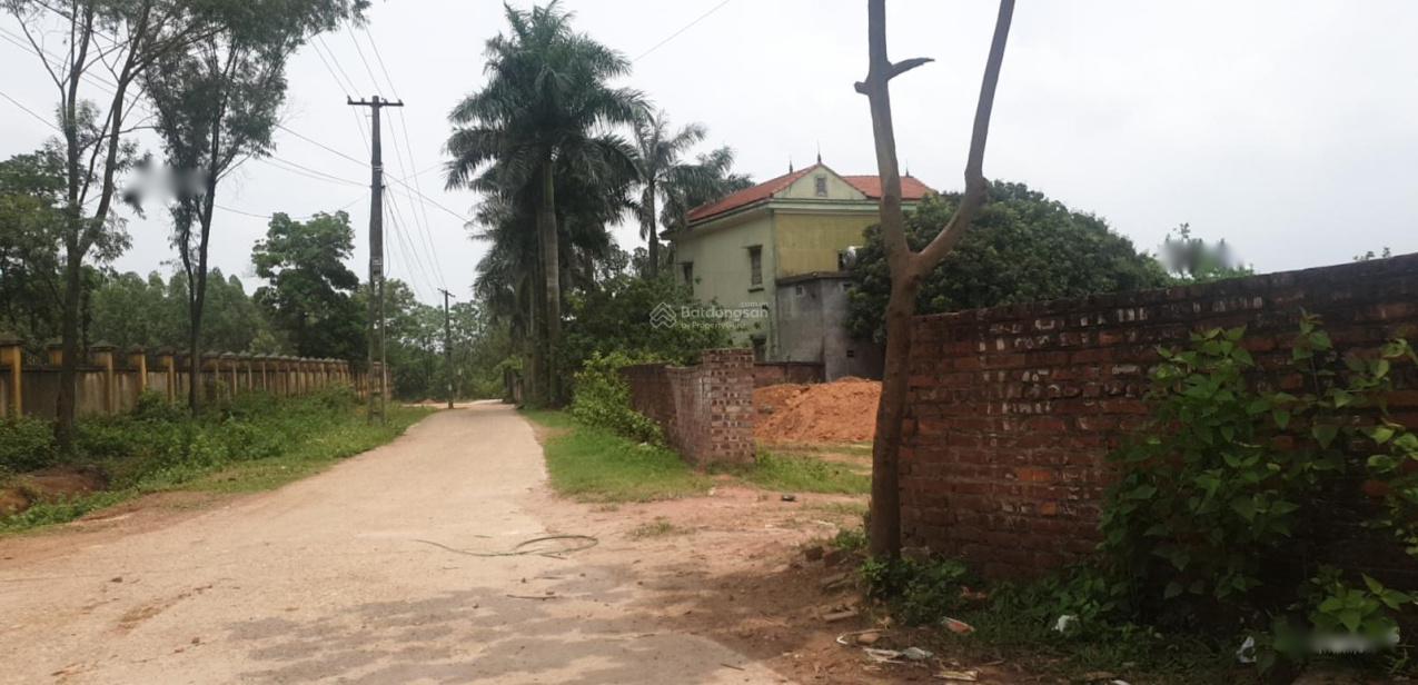 4029413 ảnh đại diện 2
