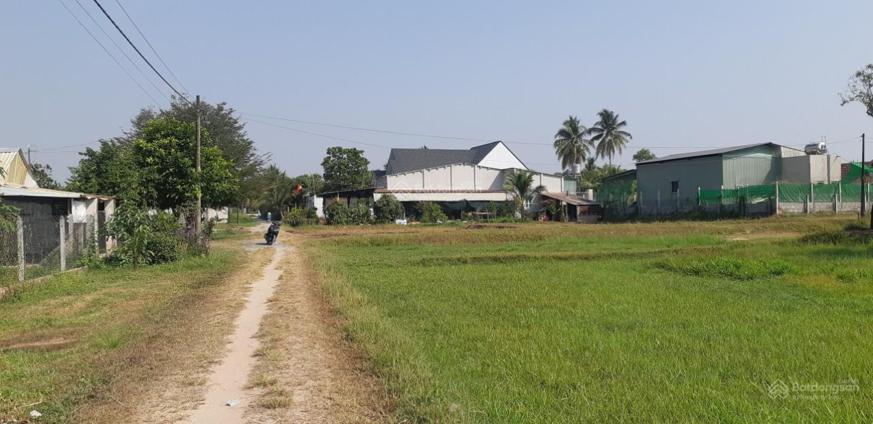 4031888 ảnh đại diện 1