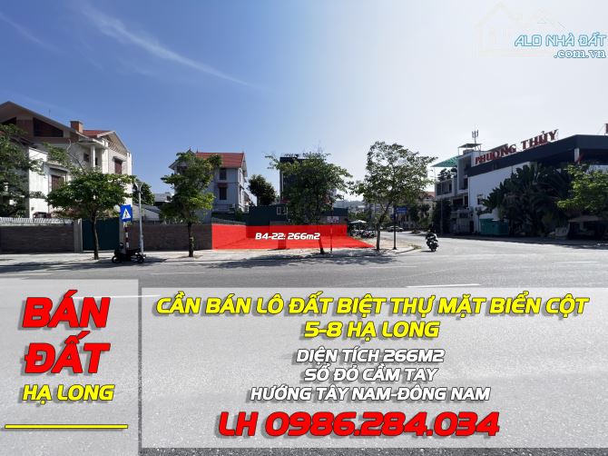 4029776 ảnh đại diện 1