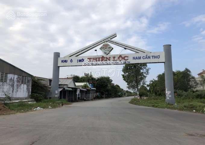 4029476 ảnh đại diện 1