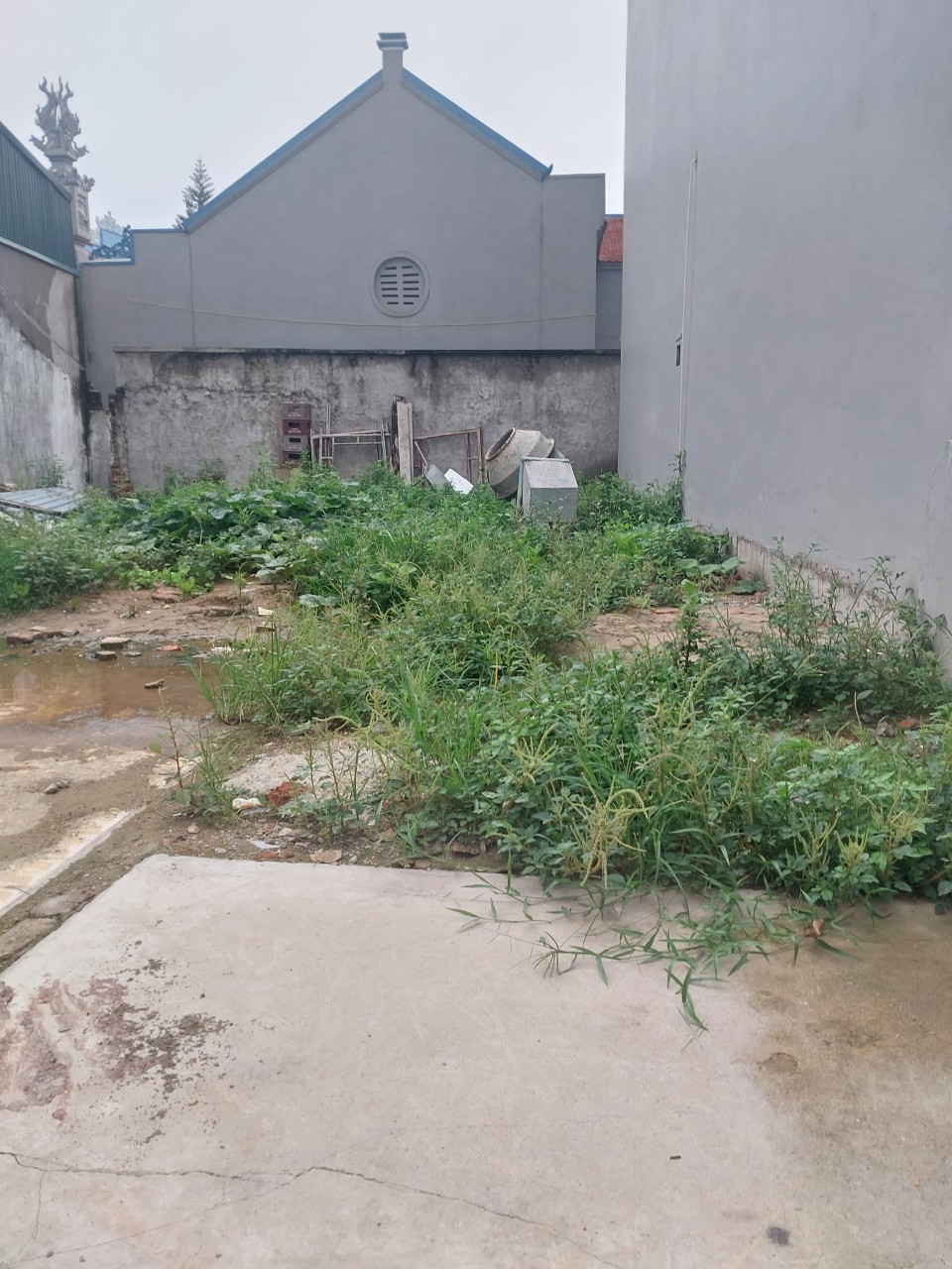 4031520 ảnh đại diện 1