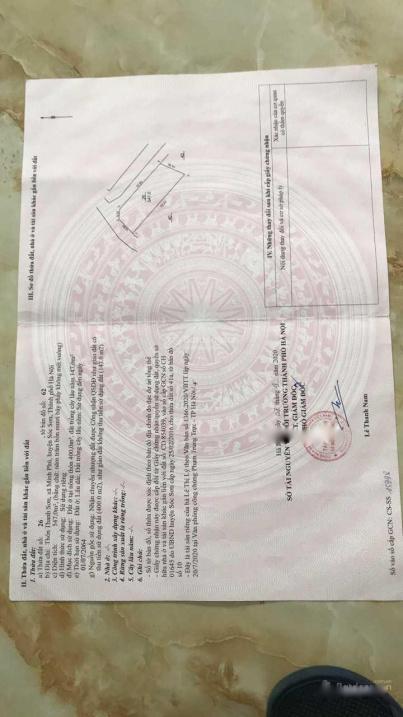 4029413 ảnh đại diện 1