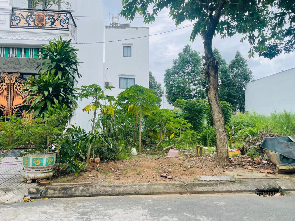 4029463 ảnh đại diện 1