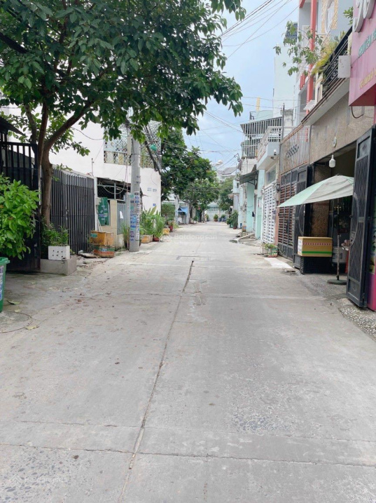 4031579 ảnh đại diện 1