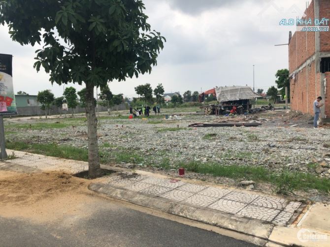4030035 ảnh đại diện 1