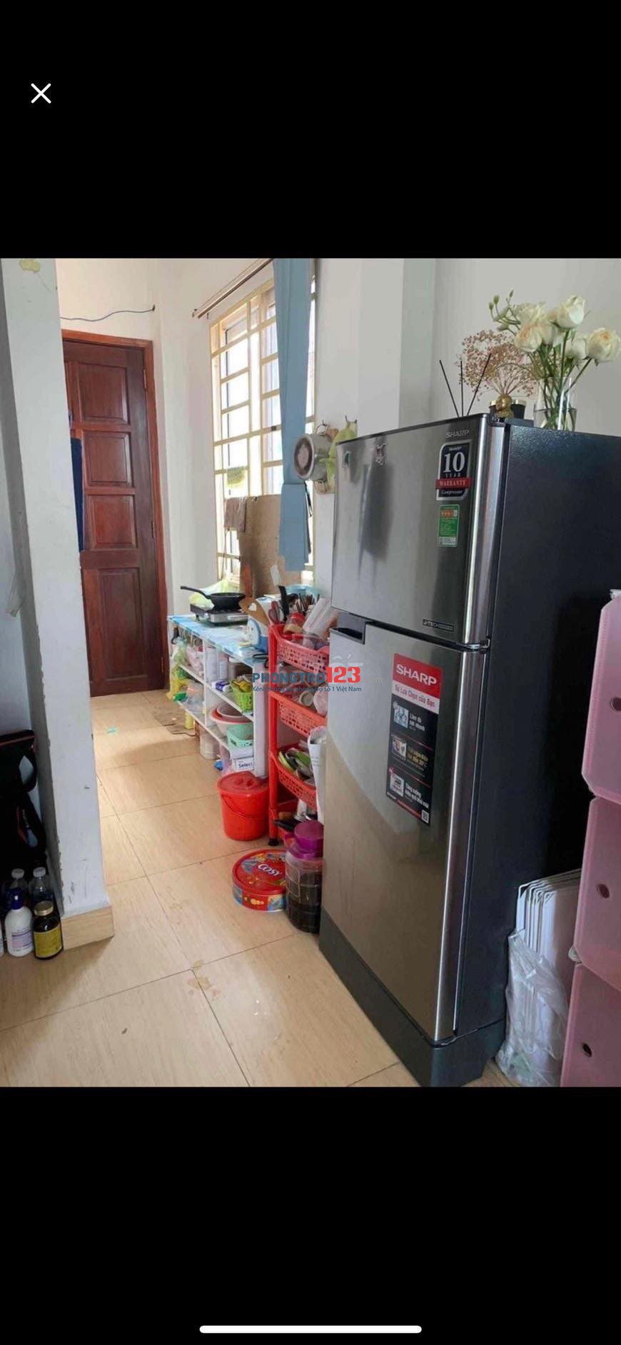 4030163 ảnh đại diện 1