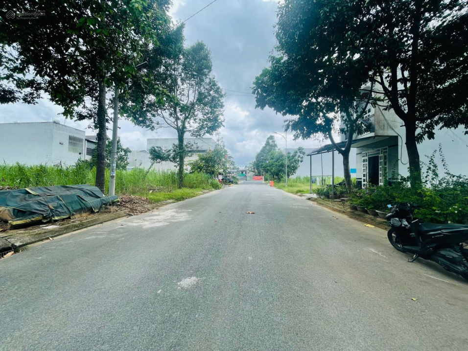 4029463 ảnh đại diện 2