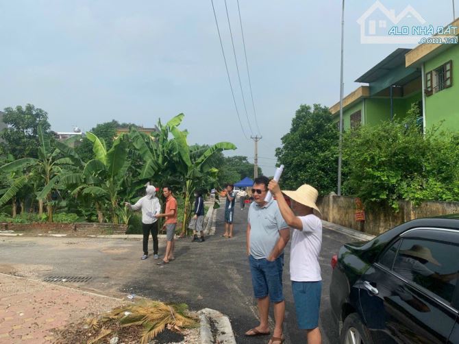 4030024 ảnh đại diện 2