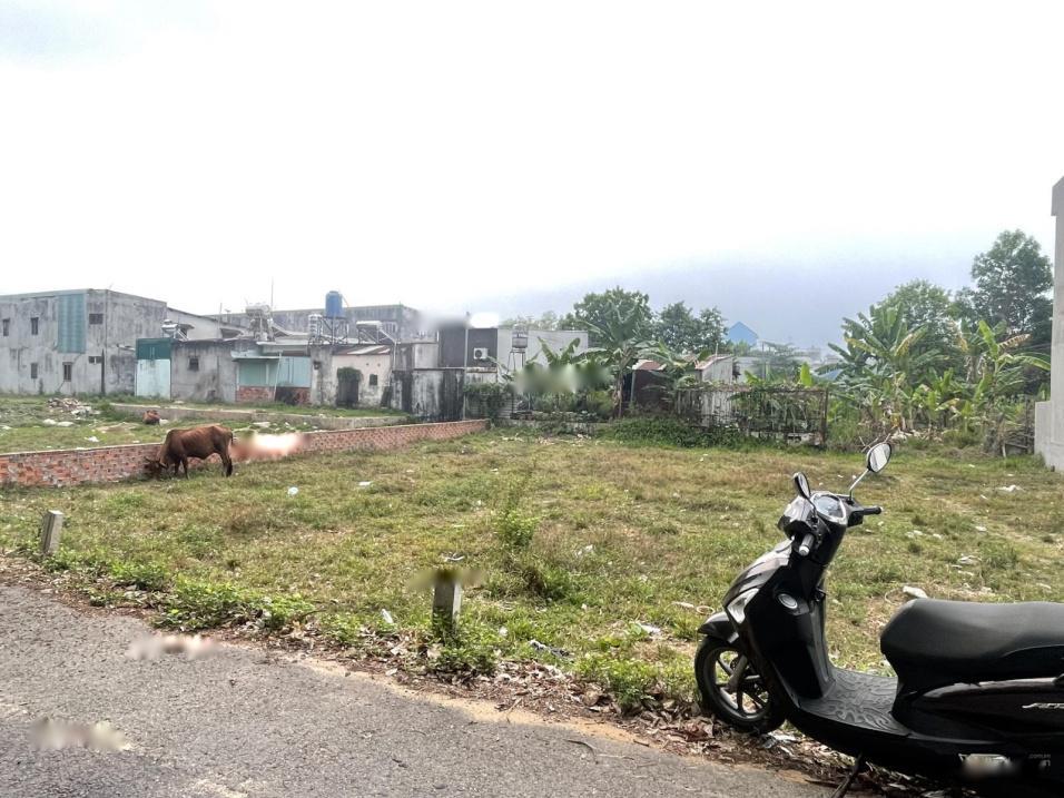 4032991 ảnh đại diện 1