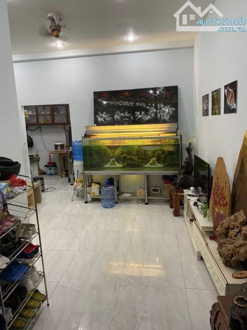 4034593 ảnh đại diện 1