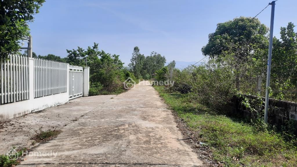 4035320 ảnh đại diện 1
