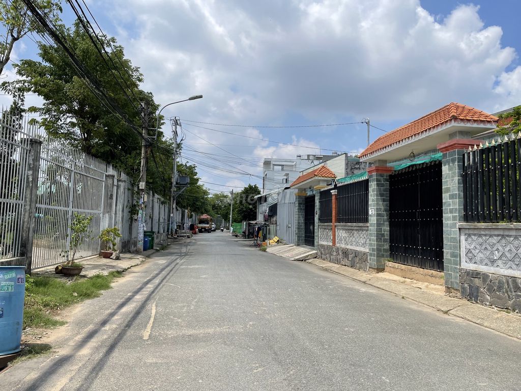 4035373 ảnh đại diện 2