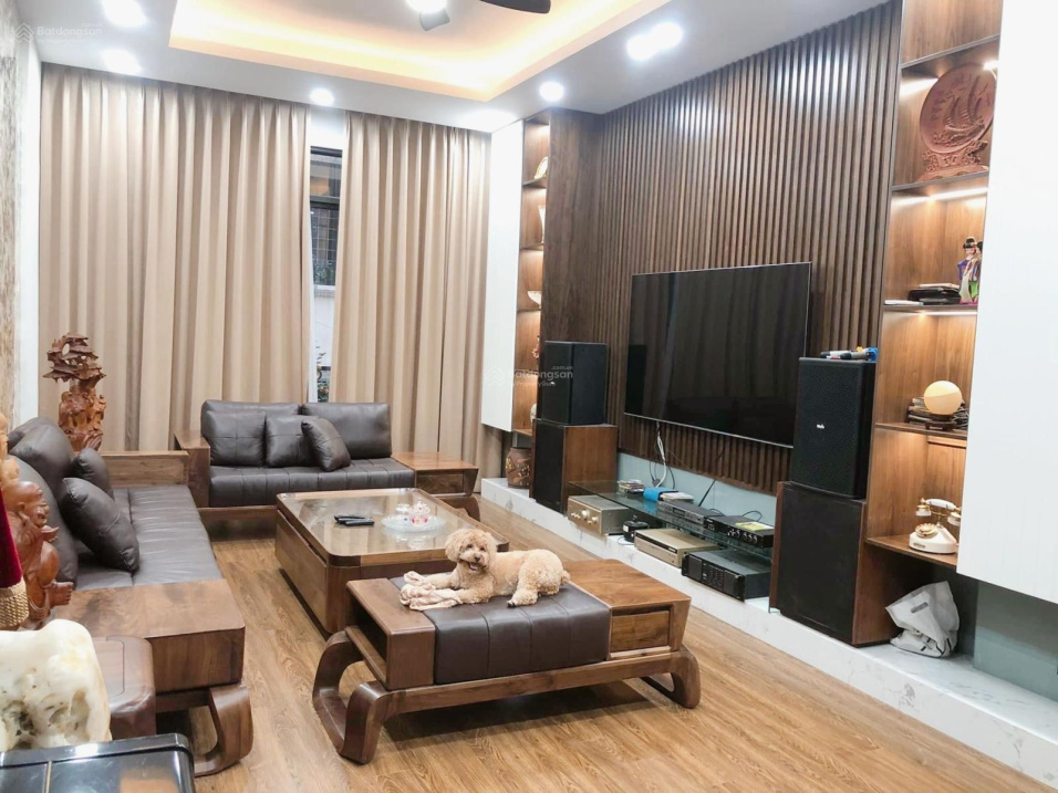 4034661 ảnh đại diện 1