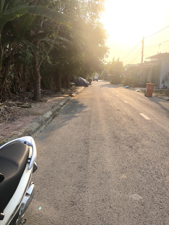 4034419 ảnh đại diện 1