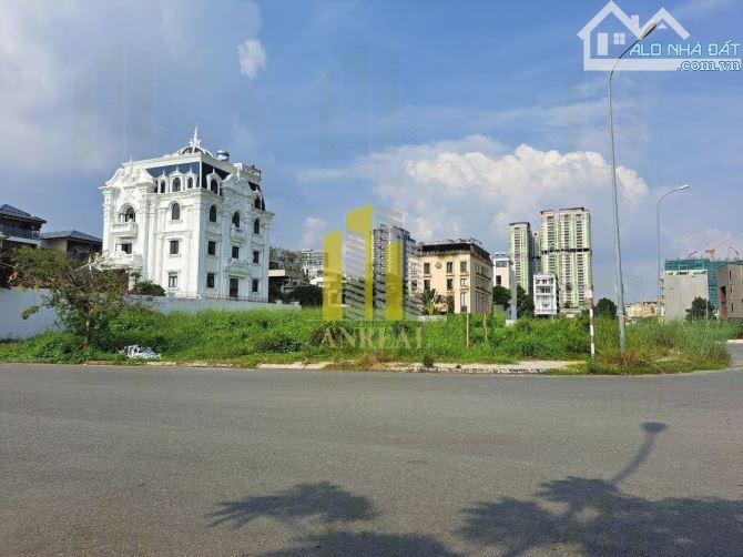 4035417 ảnh đại diện 1