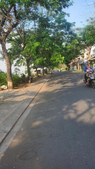 4036272 ảnh đại diện 2
