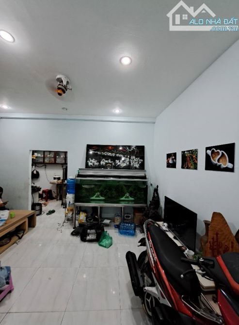 4034593 ảnh đại diện 1