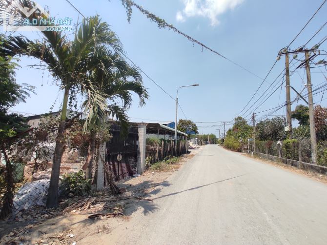 4033629 ảnh đại diện 1