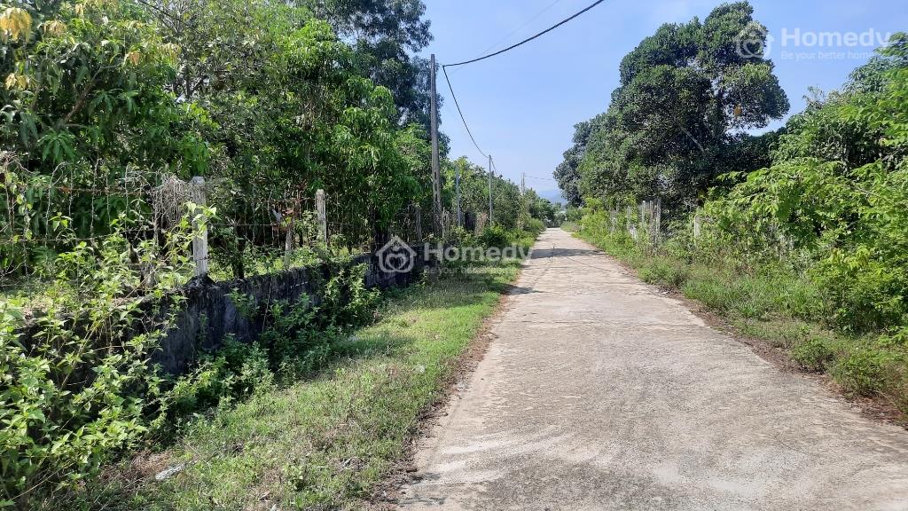 4035320 ảnh đại diện 1