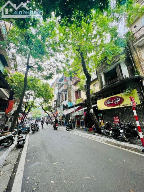 4033114 ảnh đại diện 2
