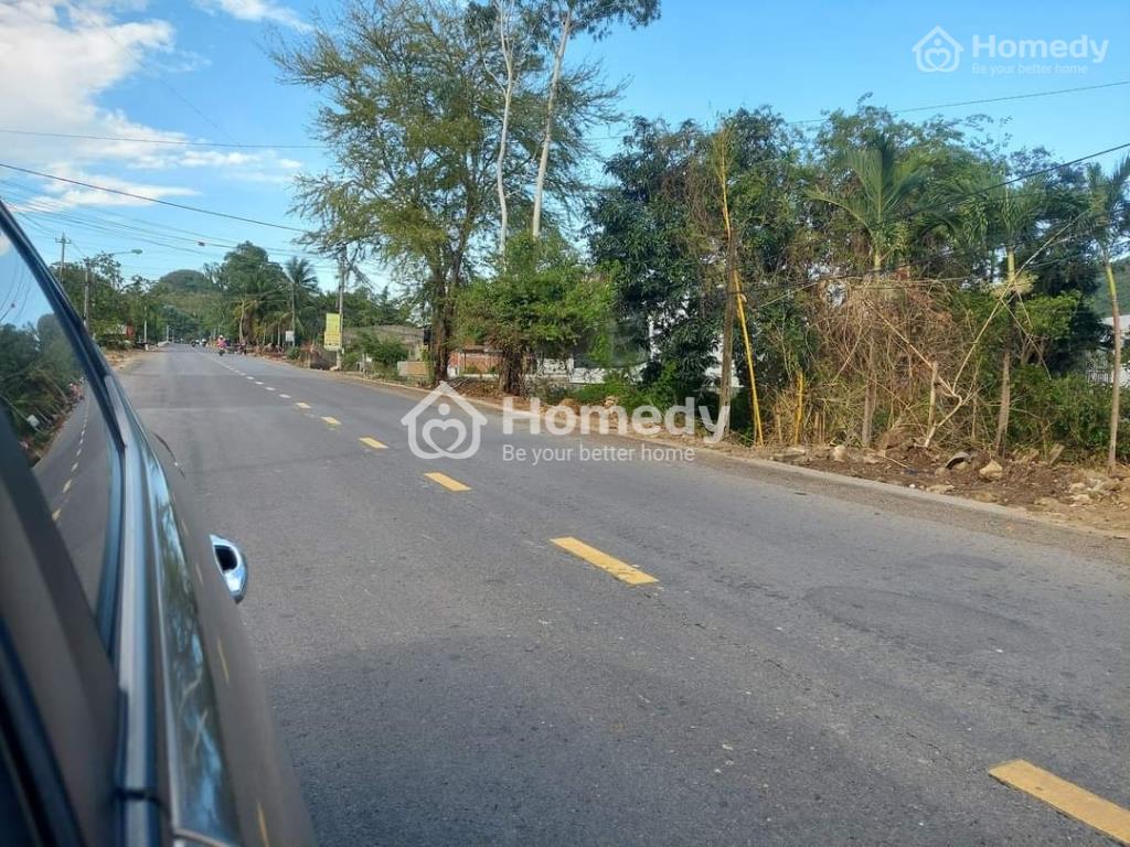 4035313 ảnh đại diện 1