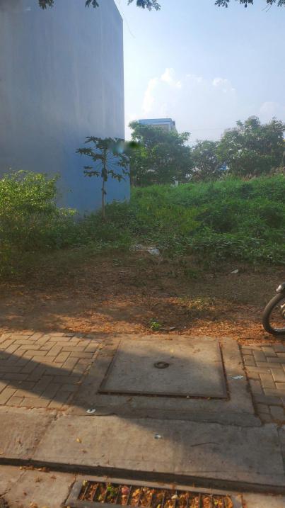 4036272 ảnh đại diện 1