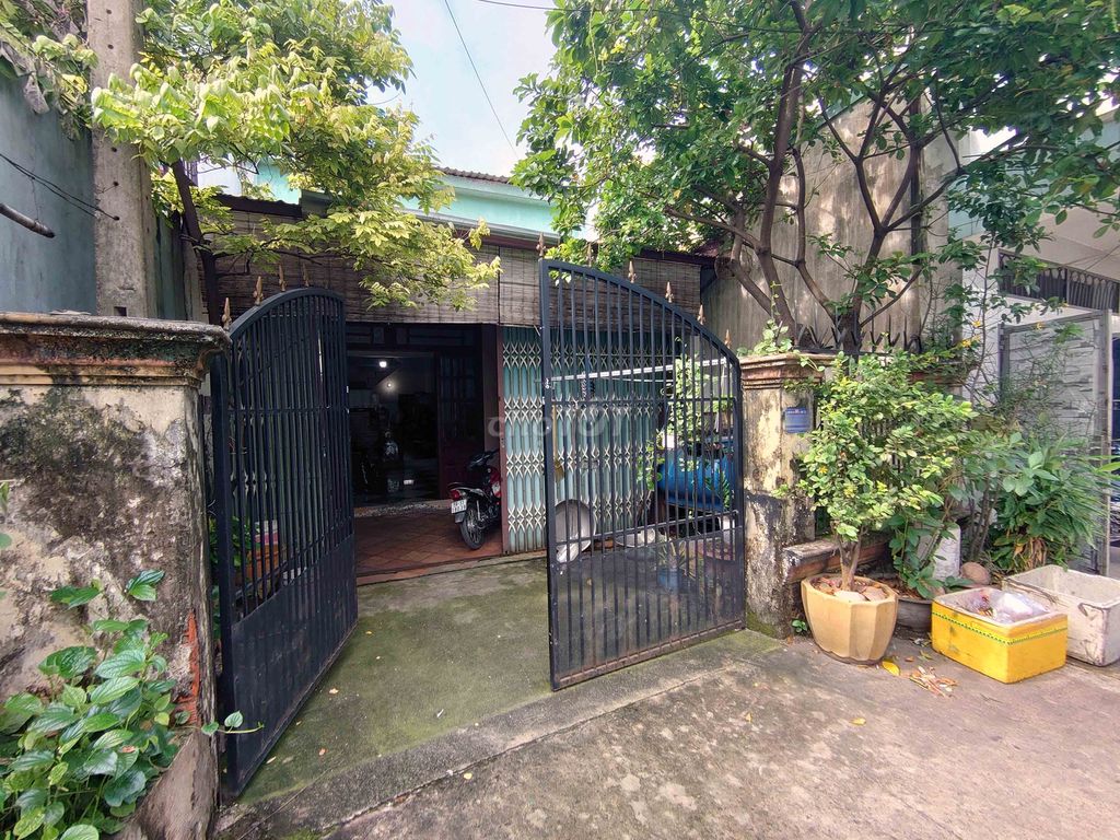 4033363 ảnh đại diện 1