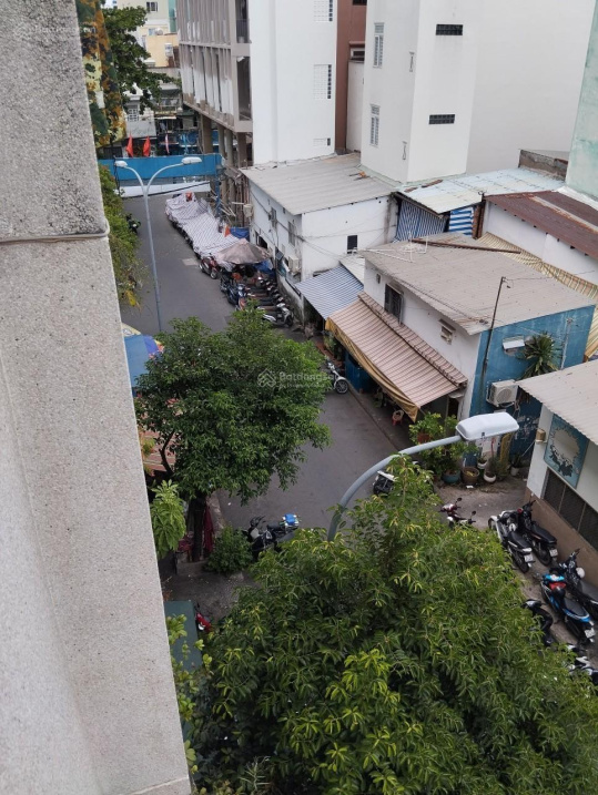 4034677 ảnh đại diện 1