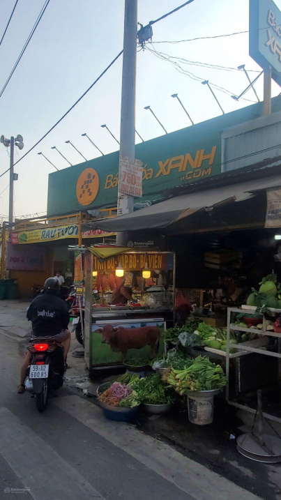 4034419 ảnh đại diện 2