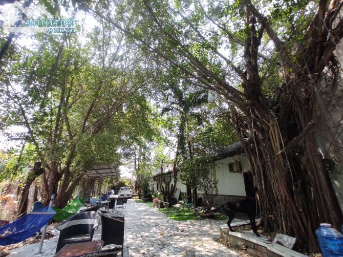 4033629 ảnh đại diện 1