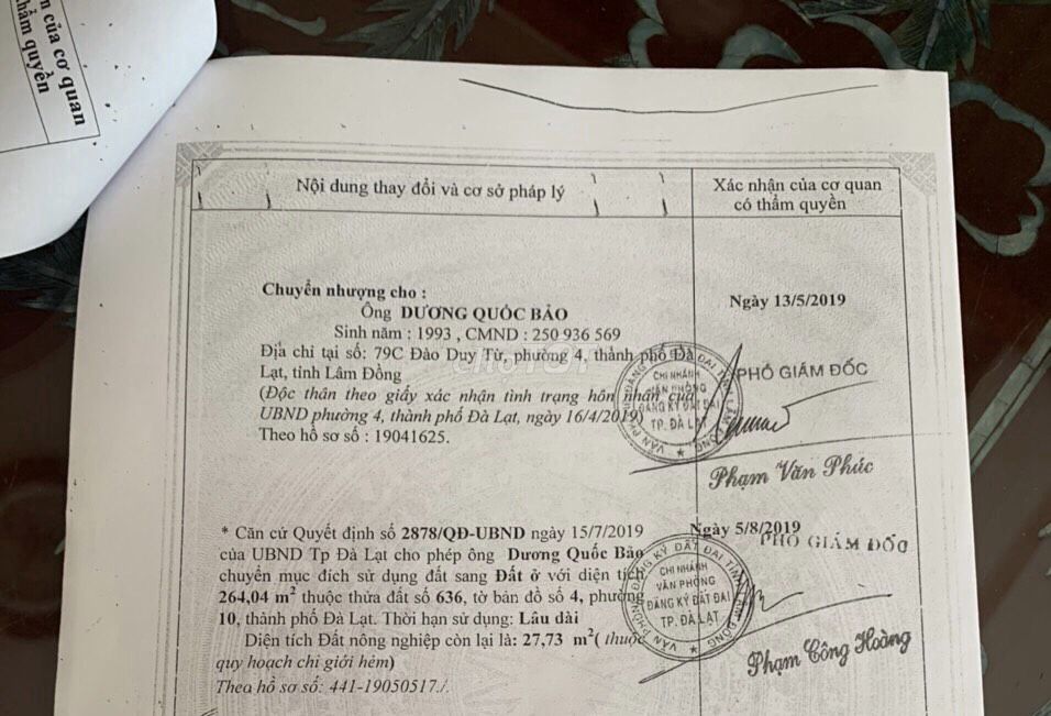 4039996 ảnh đại diện 2