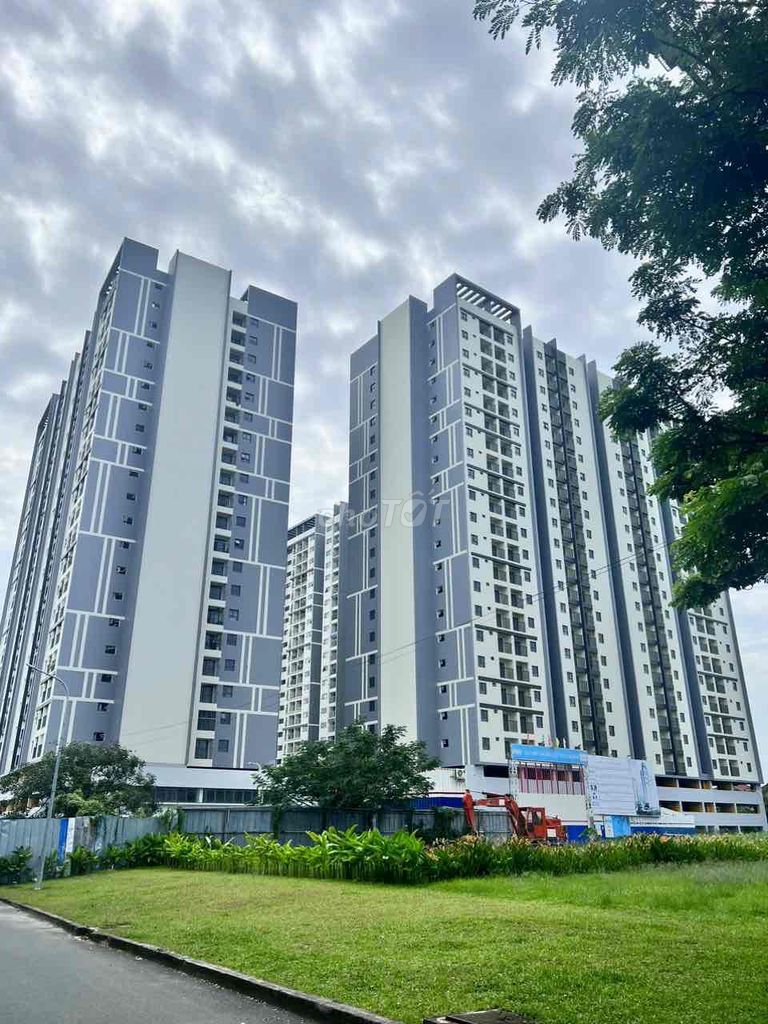 4037850 ảnh đại diện 2